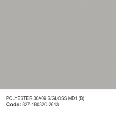 POLYESTER 00A09 S/GLOSS MD1 (B)